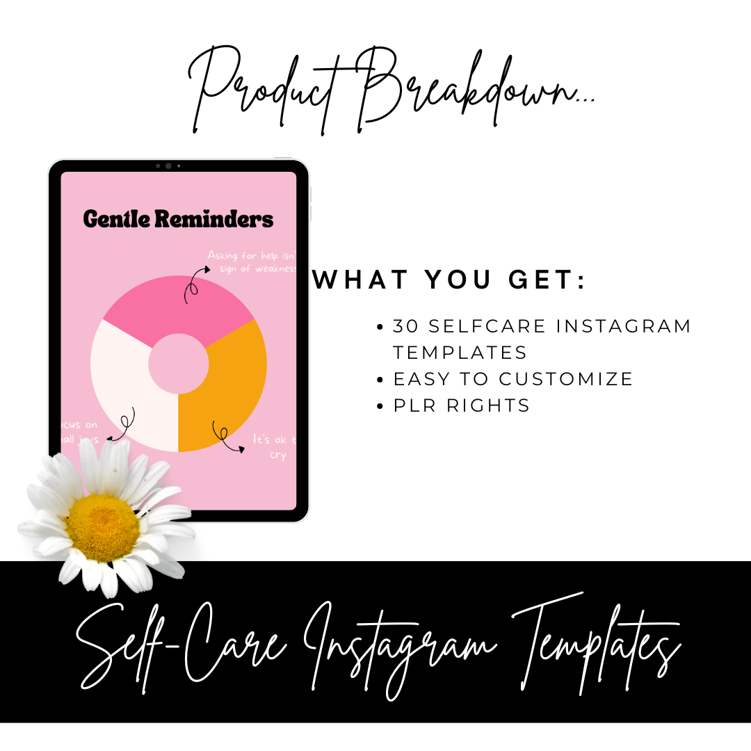 700 Instagram Templates Bundle