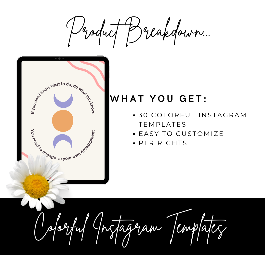 700 Instagram Templates Bundle