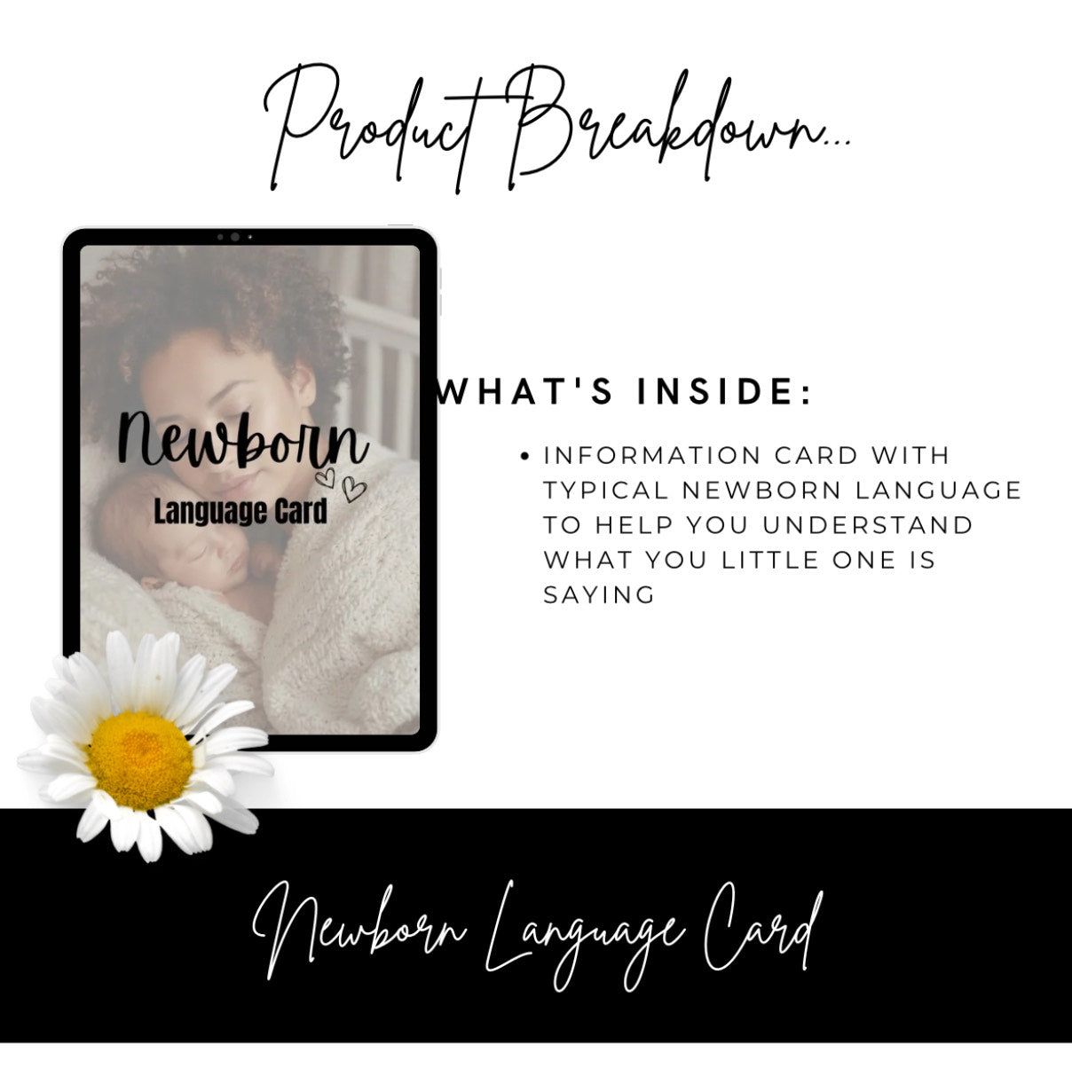 Motherhood Bundle