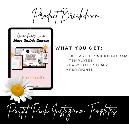 700 Instagram Templates Bundle