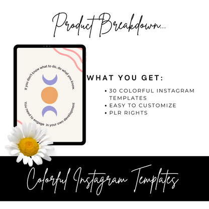 700 Instagram Templates Bundle